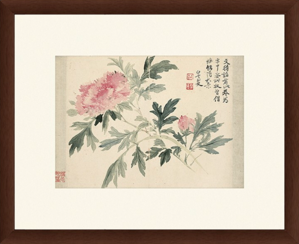 雅昌 恽寿平 花卉水墨画《牡丹图》59×48cm 宣纸 茶褐色