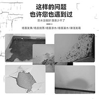 LESSO 联塑 通用蓝色防水涂料 5KG