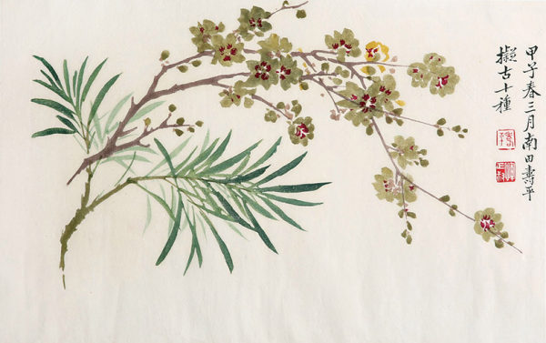 朶云轩恽南田植物花卉国画腊梅画芯约24x37cm纸本木版水印画
