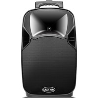SAST 先科 SA-180 户外 蓝牙音箱 黑色