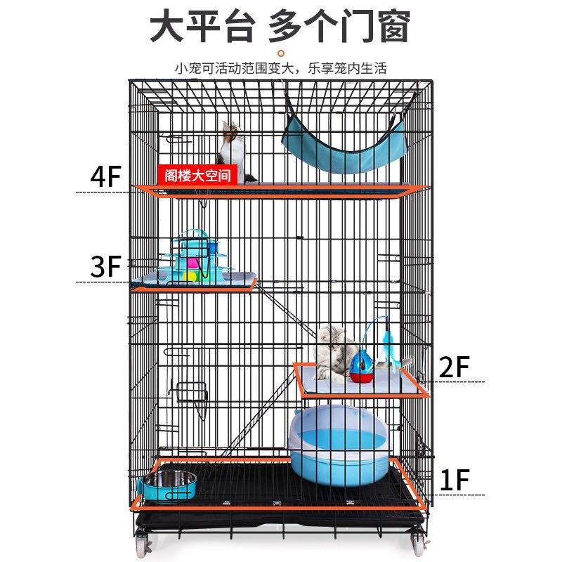 养猫攻略|笼养的猫咪都怎么样了