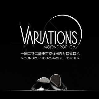 VARIATIONS 变奏曲 一圈二铁二静电HIFI有线女毒入耳式耳机可换线设计 变奏曲