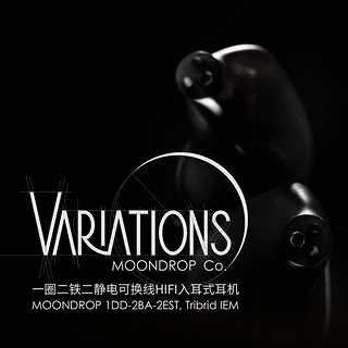 VARIATIONS 变奏曲 一圈二铁二静电HIFI有线女毒入耳式耳机可换线设计 变奏曲