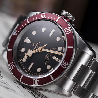 TUDOR 帝舵 碧湾系列 41毫米自动上链腕表 M79230R-0012