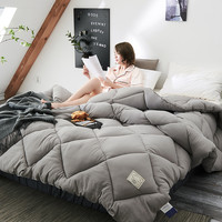 Bejirog 北极绒 托斯卡纳 水洗棉纤维加厚被 浅灰 220*240cm 8斤