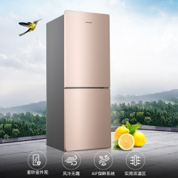 ronshen容声bcd172wd11d双门冰箱172l