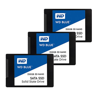 Western Digital 西部数据 蓝盘 SATA 固态硬盘 250GB (SATA3.0) WDS250G2B0A