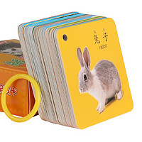 Dan Ni Qi Te 丹妮奇特 儿童识字卡 动物世界 45张