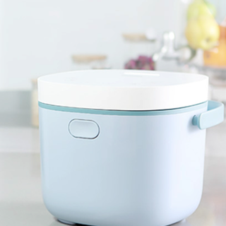 PHILIPS 飞利浦 HD3071/21 电饭煲 2L 蓝色