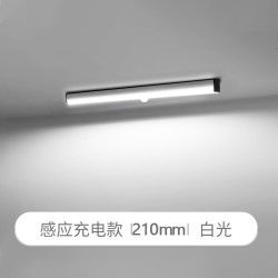 以典 人体感应灯 210mm白光人体感应充电款
