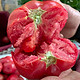古寨山 海阳普罗旺斯西红柿新鲜自然熟番茄生吃沙瓤玉女圣女果 精品-人气爆卖