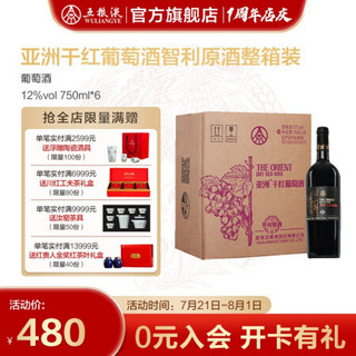 五粮液仙林生态出品 干红葡萄酒（智利原酒 ）12度 聚会用酒礼节拜访婚宴 750mL*6 整箱装