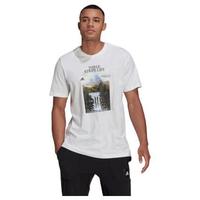 adidas 阿迪达斯 MOUNTAIN TEE M 男子运动T恤 GN6851