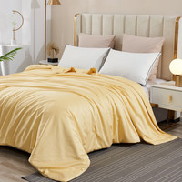 AIDLI 80支双宫茧黄金丝桑蚕丝被 3.1斤 200*230cm