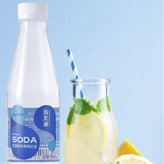 WHITE DRAGON LAKE 白龙湖 饮用纯天然苏打水 350ml*6瓶