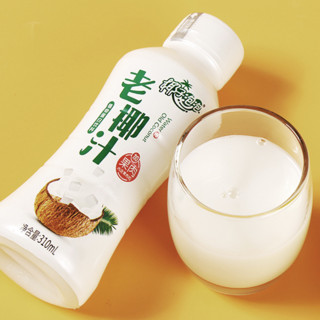 椰子泡泡 老椰汁 植物蛋白饮料 310ml*10瓶