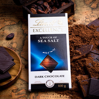 Lindt 瑞士莲 EXCELLENCE特醇 黑巧克力 海盐味 100g 排块装