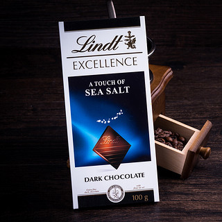 Lindt 瑞士莲 EXCELLENCE特醇 黑巧克力 海盐味 100g 排块装