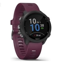 GARMIN 佳明 Forerunner 245 跑步智能手表