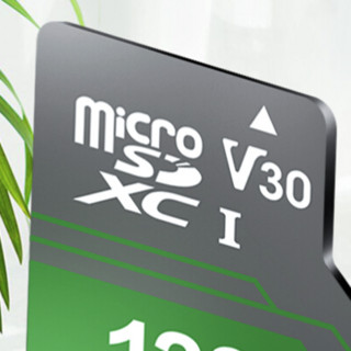 HIKVISION 海康威视 HS-TF-D1 microSD存储卡 128GB (UHS-I、V30、U1、A1)