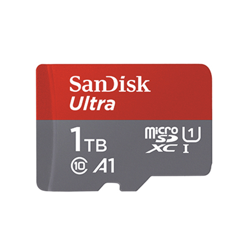 SanDisk 闪迪 至尊高速系列 SDSQUA4-1T00-ZN3MN Micro-SD存储卡 1TB（UHS-I、A1）