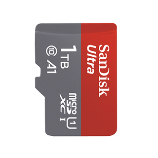 闪迪 Sandisk  至尊高速系列 SDSQUA4-1T00-ZN3MN Micro-SD存储卡 1TB（UHS-I、A1）
