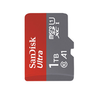 SanDisk 闪迪 至尊高速系列 SDSQUA4-1T00-ZN3MN Micro-SD存储卡 1TB（UHS-I、A1）