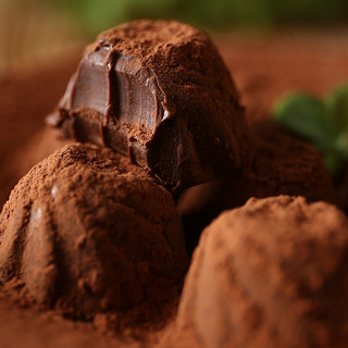 GANZILUO 甘滋罗 松露型巧克力 400g