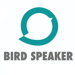 BIRD SPEAKER/小鸟冲冲冲