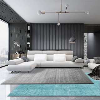 北欧风地毯客厅ins卧室轻奢沙发茶几毯满铺黑灰纯色地垫免洗家用（200*300cm(送精美地垫）、现代486号）