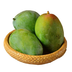 WAN YU AGRICULTURE 菀棫农业 四川攀枝花凯特芒果 净重4.5斤