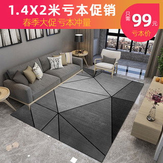 北欧风ins地毯卧室客厅简约沙发茶几毯满铺房间家用大面积地毯垫（80*120cm（送精美地垫）、现代583号）