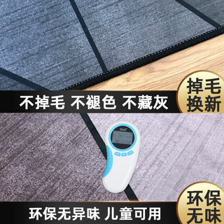 北欧风ins地毯卧室客厅简约沙发茶几毯满铺房间家用大面积地毯垫（120*160cm（送精美地垫）、现代653号）