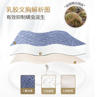 婷美天然泰国乳胶内衣女无钢圈小胸聚拢防下垂胸罩蕾丝美背文胸（34/75AB通杯、姜黄+焦糖（闪电发货））