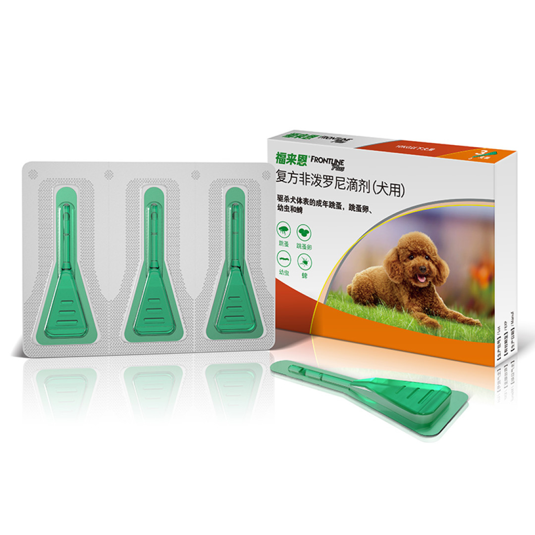 怀孕的人不能与猫同睡?—这份与喵星人同睡的注意事项,请查收