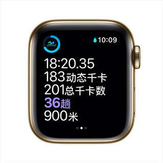 Apple 苹果 Watch Series 6 智能手表 40mm GPS+蜂窝款版 金色不锈钢表壳 金色米兰尼斯表带（GPS、心率、血氧)