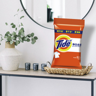 Tide 汰渍 净白去渍洗衣粉 5kg