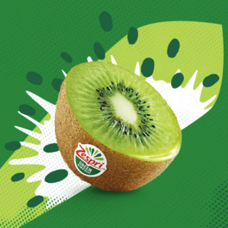 Zespri 佳沛 绿奇异果 优选经典果 单果90-100g 6个 礼盒装