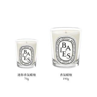 diptyque蒂普提克迷你香氛蜡烛香薰蜡烛70g/190g（其它、熏衣草70g）