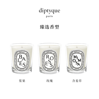 diptyque蒂普提克迷你香氛蜡烛香薰蜡烛70g/190g（其它、熏衣草70g）