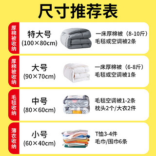 收纳博士真空压缩袋收纳袋大号被子衣物衣服整理袋棉被免抽气袋子（大号（100*80cm）、3大3中1手泵）