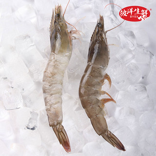 白虾速冻海鲜新鲜大虾水产特大冷冻对虾超大海虾鲜活虾子 青岛发（1400g、15-16cm）
