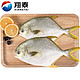 限地区：翔泰 国产海南金鲳鱼700g（2条）*6件（总价105元，低至17.5元/件，附组合建议）