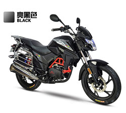 嘉陵 DS-X 2021新款国四电喷燃油摩托车 150c 亮黑色