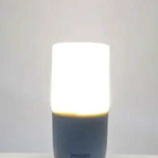 PHILIPS 飞利浦 E27螺口小柱灯 白光 5.5W 单只装