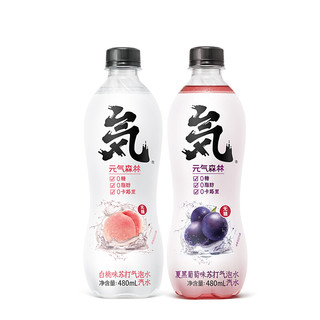 元气森林 苏打气泡水组合装 3口味 480ml*6瓶（夏黑葡萄味480ml*2瓶+白桃味480ml*2瓶+王林青苹果味480ml*2瓶）