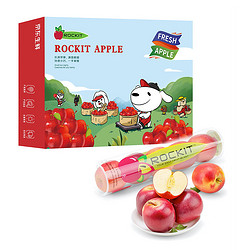 京觅 乐淇（ROCKIT）新西兰火箭筒苹果 3筒礼盒装 单筒245g起 5粒/筒 生鲜 新鲜水果