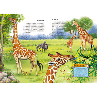 《马小跳发现之旅·奇妙的动物》（旧版）