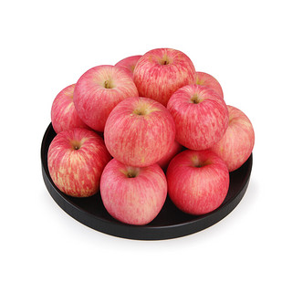 京觅 烟台红富士苹果 铂金超大果 单果230g+ 5kg