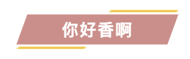 人类高质量送礼指南,男士们,请查收!